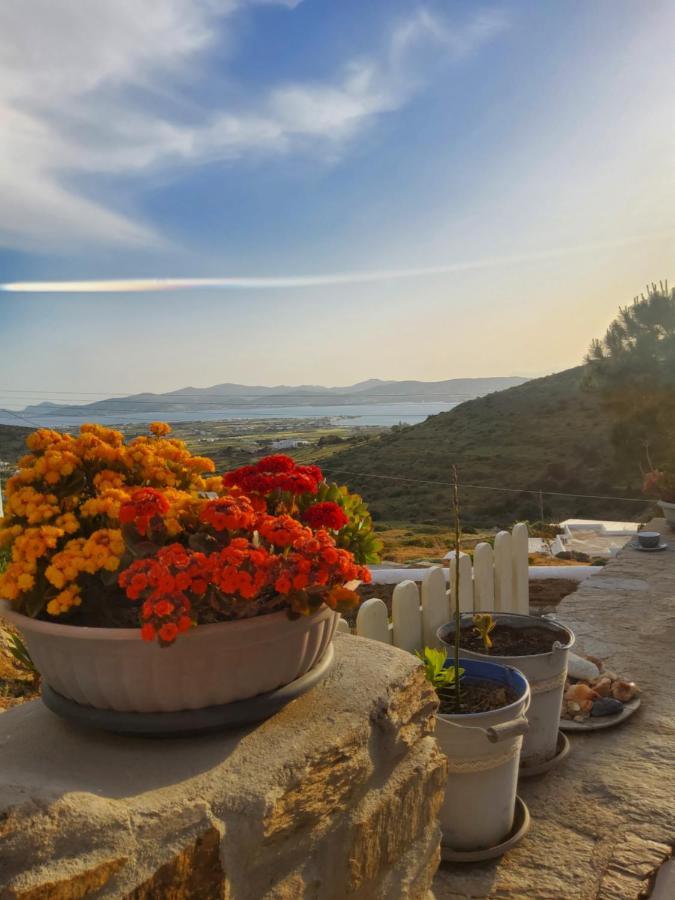 Romantic Sunset Cycladic House In Sotires Moni Christou Dasous エクステリア 写真