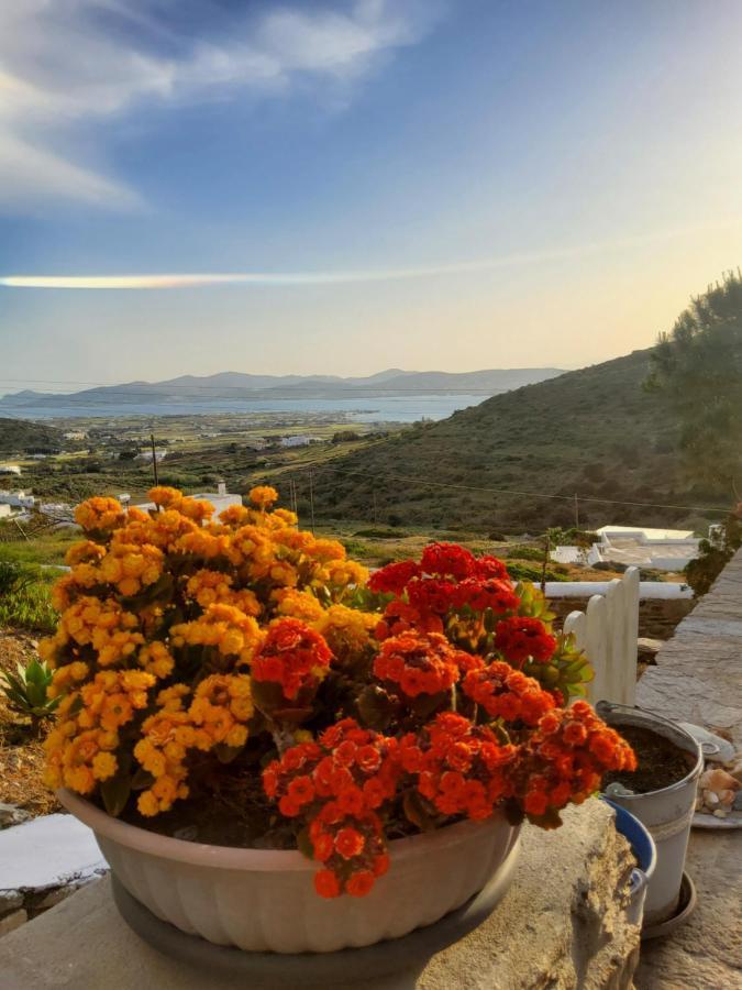 Romantic Sunset Cycladic House In Sotires Moni Christou Dasous エクステリア 写真